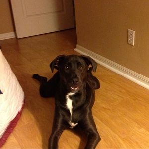 Meet your Posher, Cindy